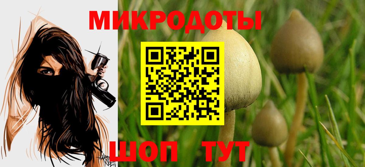 Ростов-на-Дону  Псилоцибиновые грибы прущие грибы  Вход с VPN 